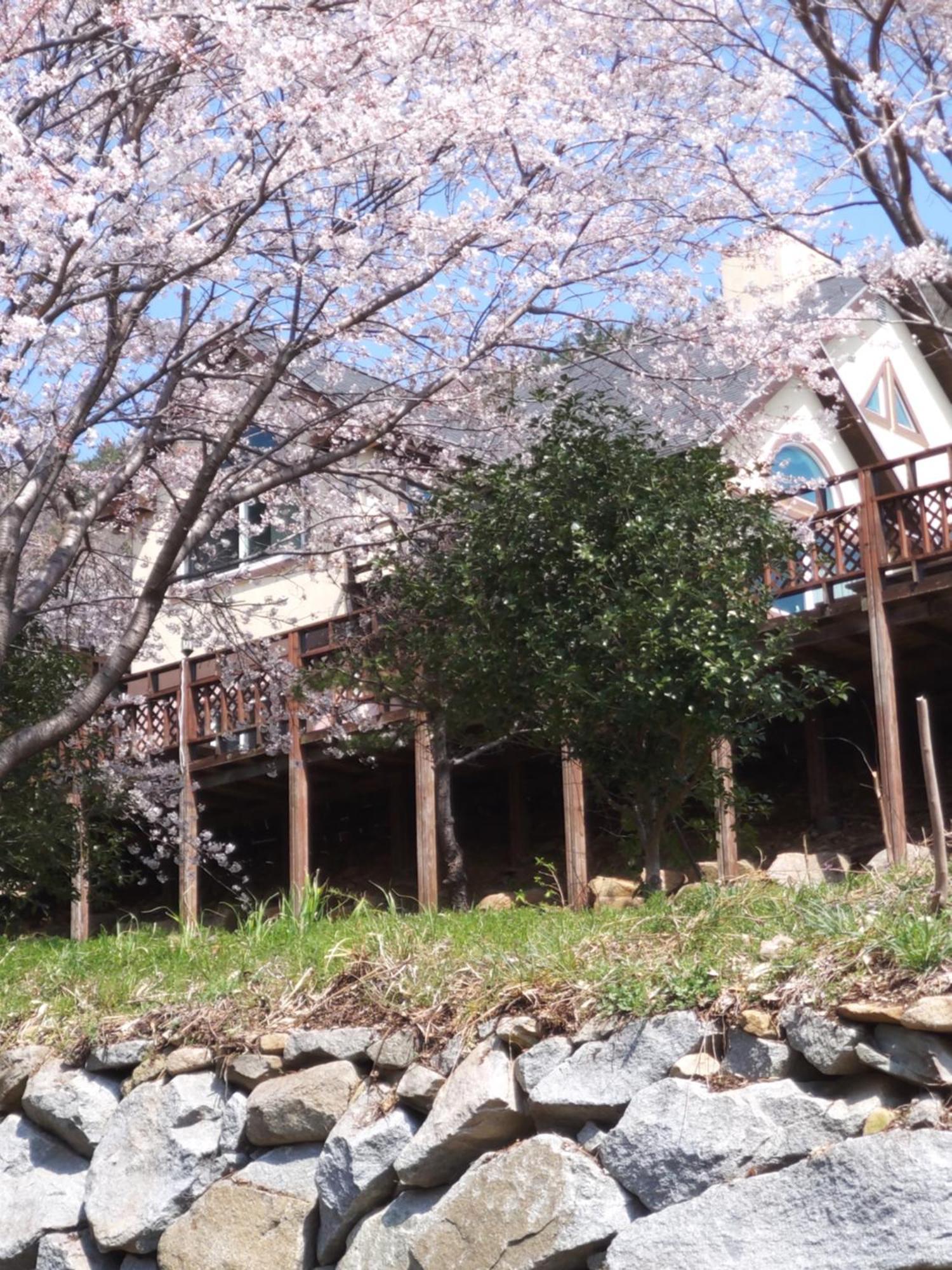 White House Hotell Namhae Exteriör bild